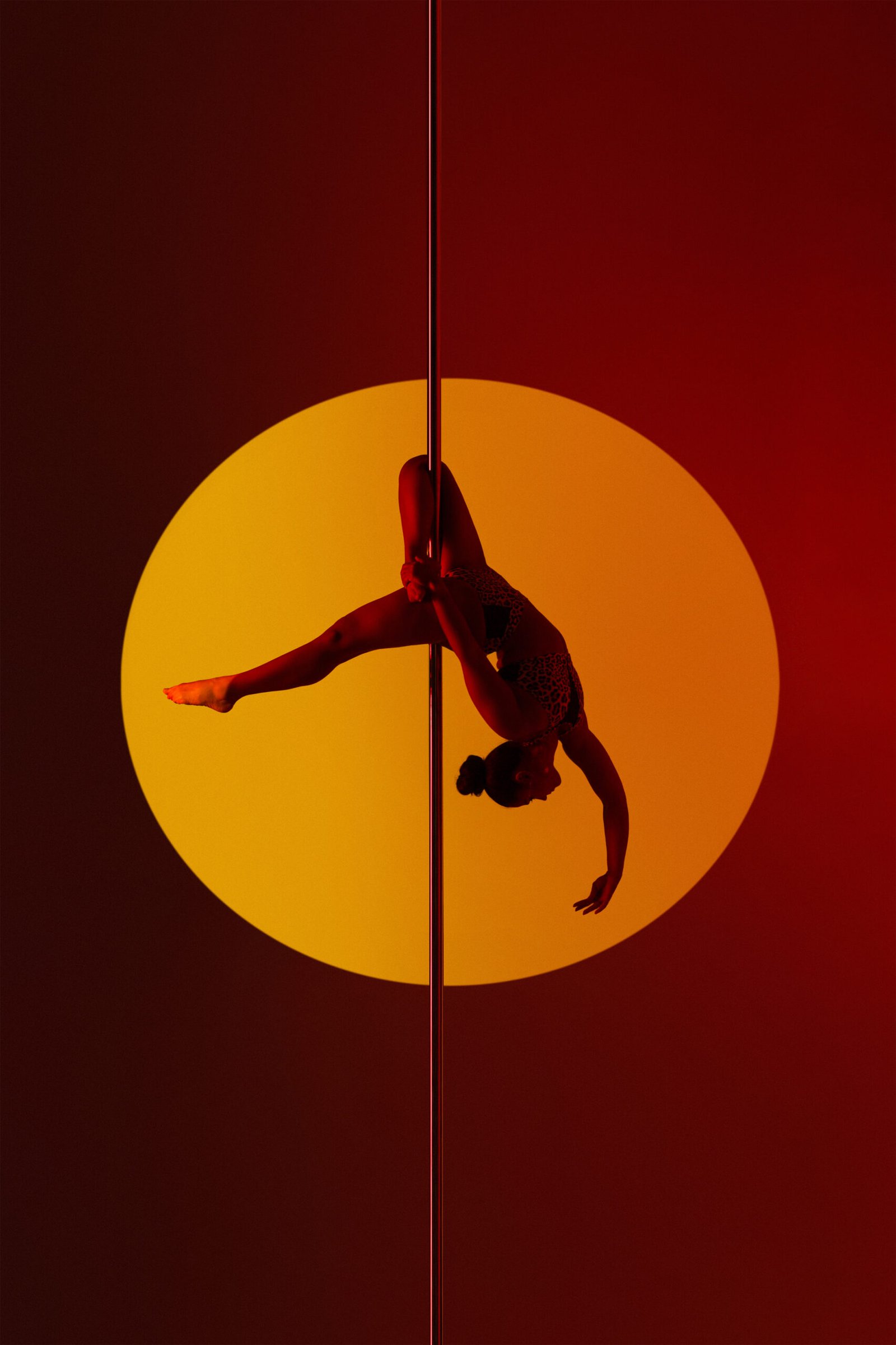 ©merlanpolestudio, 2026
