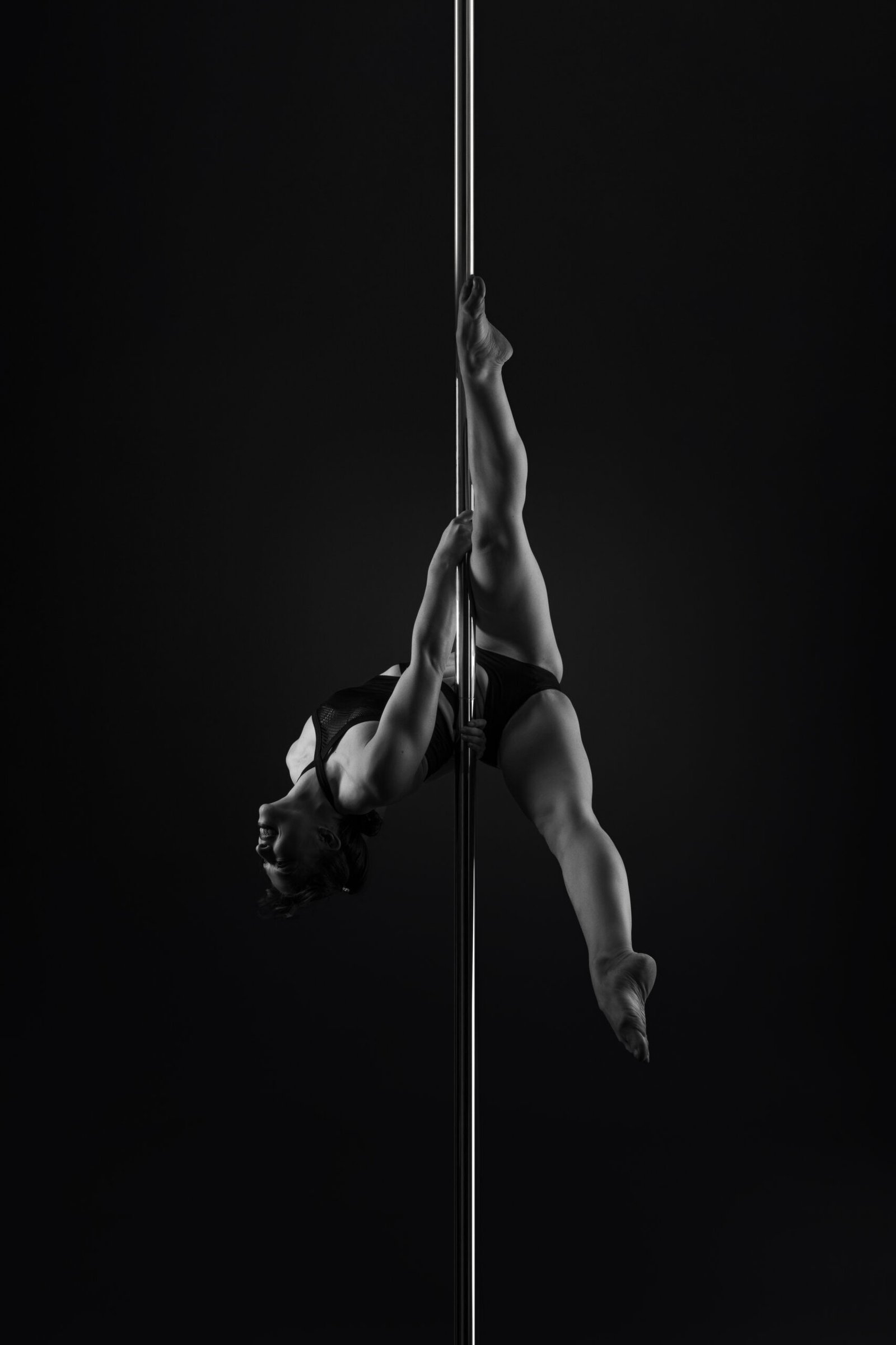 ©merlanpolestudio, 2024